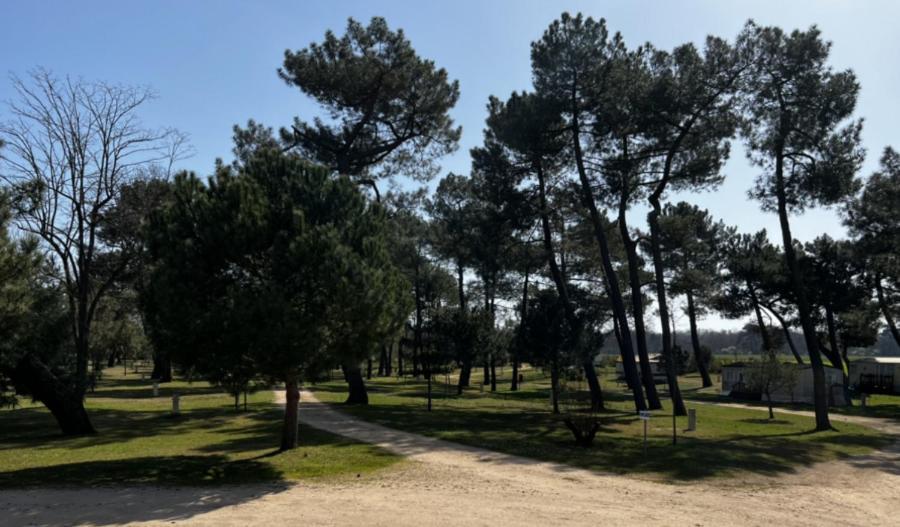 Camping La Maltournee Sigloy Exterior photo
